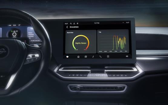 In-cabin Monitoring Systems